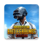 pubgmobileʷٷ