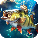 欢乐钓鱼大师 v1.5