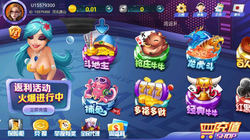 �������̹������°汾