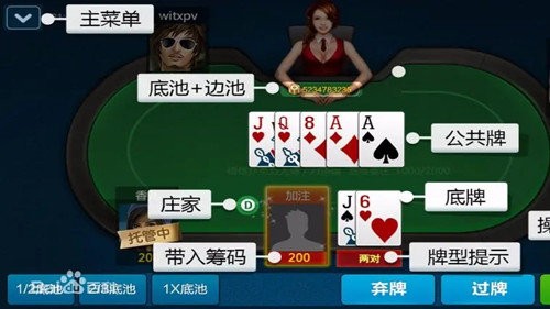 �¿���˹�˿���������