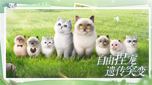 ֮
