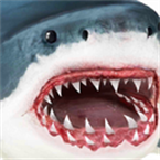  ģ