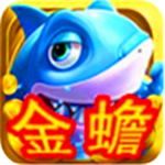 ����������°汾