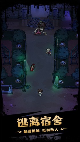 ���γ�����