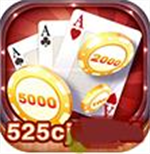 525��������.cn4��Ϸ2025  v9.6.6 ���°�