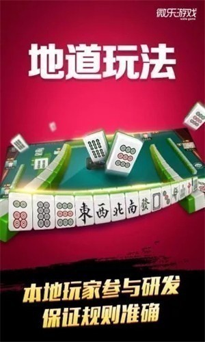 ΢���������̹������°汾2025