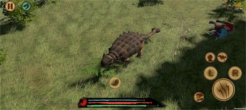 �̹Ŵ�½ԭʼʱ��