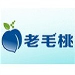 ��ë��һ����װϵͳv9.5.2308 win10רҵ��