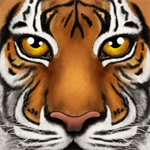 �ռ�����ģ����