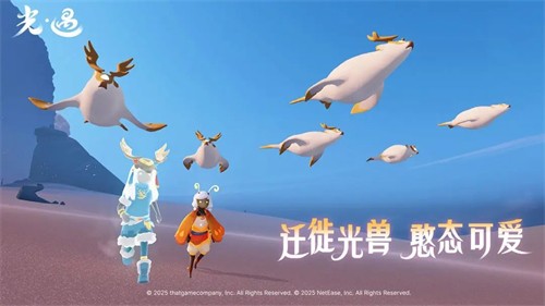 �����ֻ����������İ�