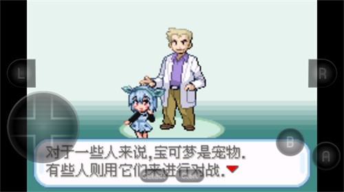 �ڴ����������