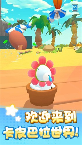 ��Ƥ������ð��