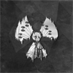 ս������