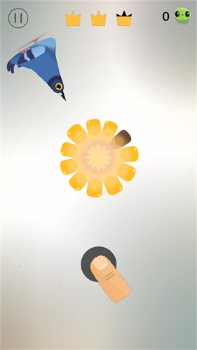 ���ĸ���