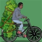 �µ±���Ϯ��