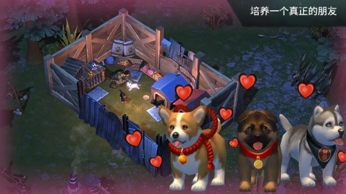 ����ĩ������5