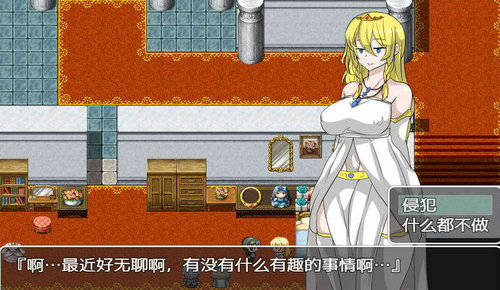 npc������������3