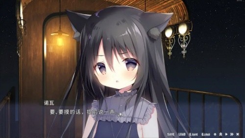 �ǿ��г���׵��������ֱװ��