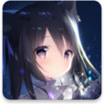 �ǿ��г���׵��������ֱװ��