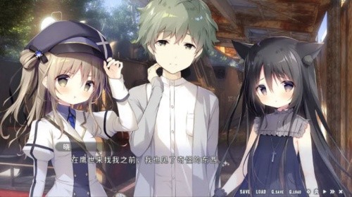 �ǿ��г���׵��������ֱװ��