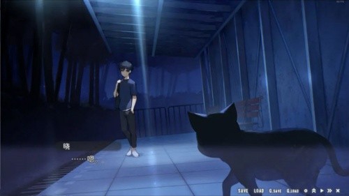 �ǿ��г���׵��������ֱװ��