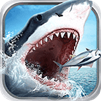 ȫ�����2024