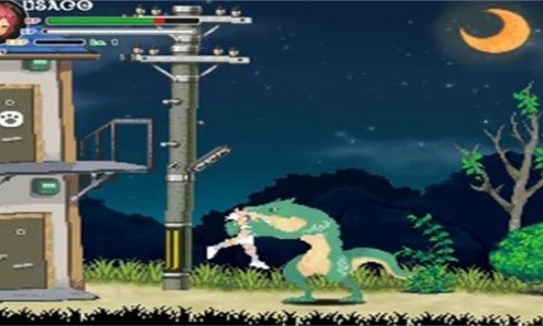 ������ս����ֲ�氲װ�ֻ���