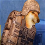 �޹���������