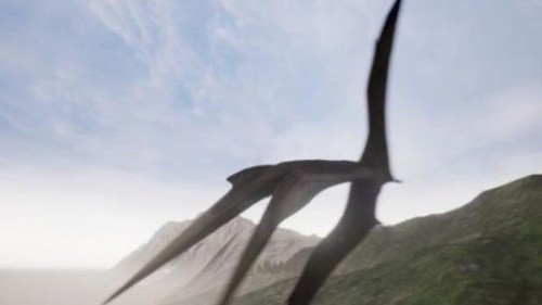 ����������Դ�ֻ���ٷ���