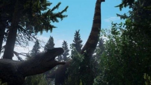 ����������Դ�ֻ���ٷ���