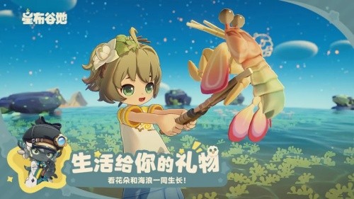 �ǲ��ȵ����ذ�װƻ����