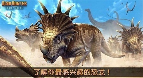 ����٪�޼�
