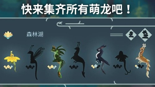 ���������޽����ʯ��