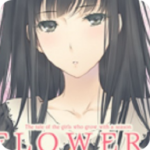 Flowers�������ֻ���  v1.0
