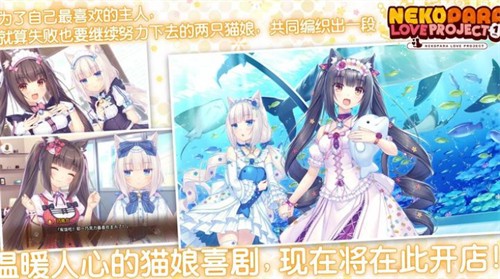 猫娘乐园冷狐汉化版
