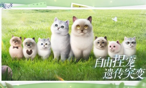 以闪亮之名