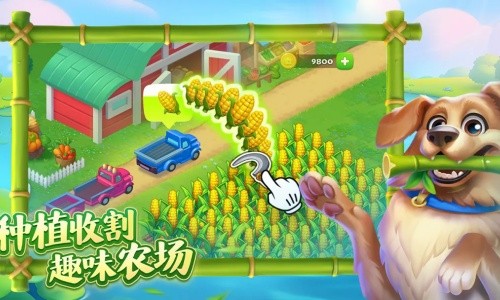 梦想城镇
