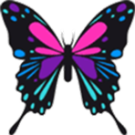 ���Ǻ�����9.07�浥����