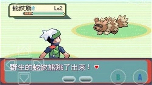 ���鱦�����̱�ʯ��ǿ�����ָ��
