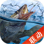 天天钓鱼
