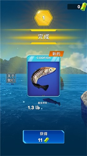 ����˹����4