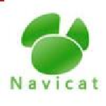 Navicat for SQL Server 11�ٷ�����