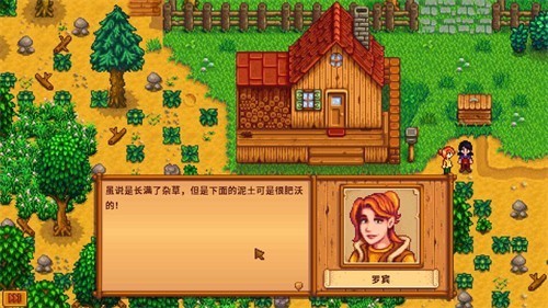 妇女小镇繁星汉化版手游