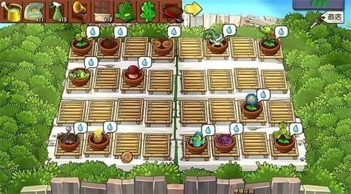 pvz�ӽ���4